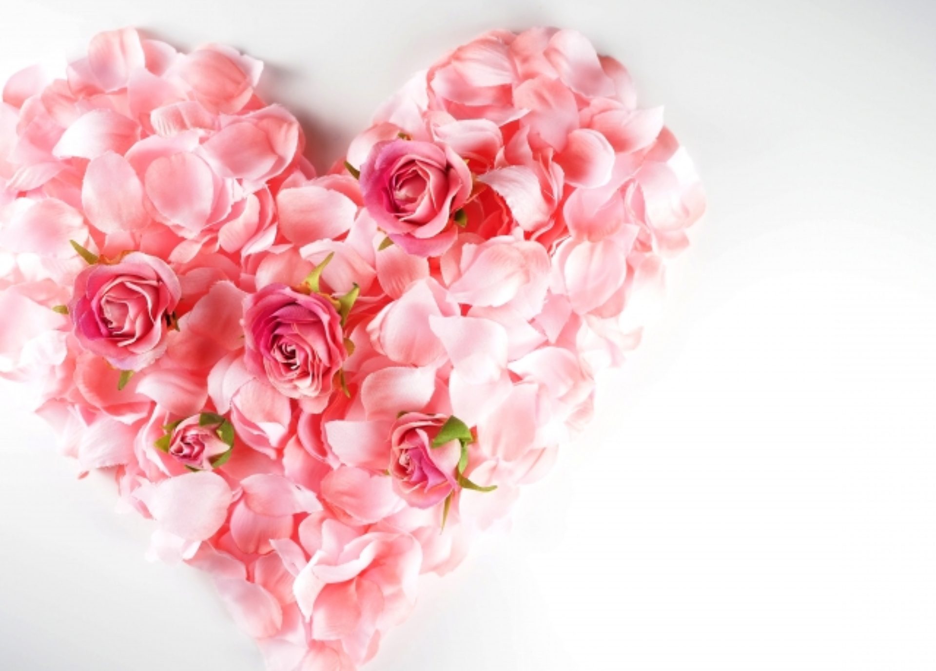 Itoe　Fujimoto  　 Official　site